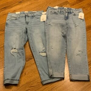 Wonderly Light Blue Boyfriend Jeans